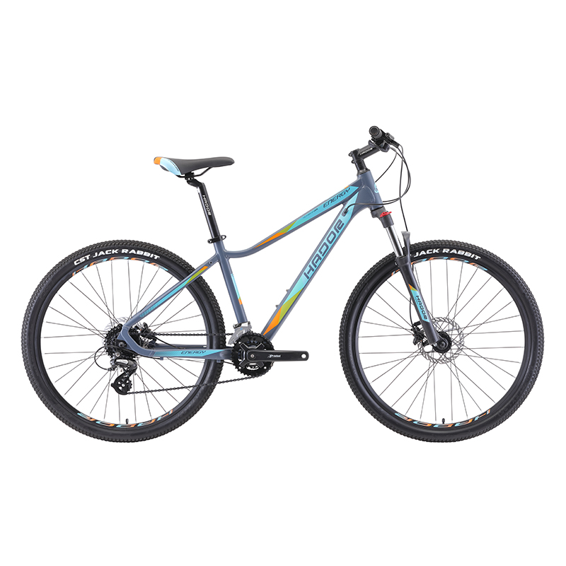 Electric bicycles are becoming more and more popular internationally